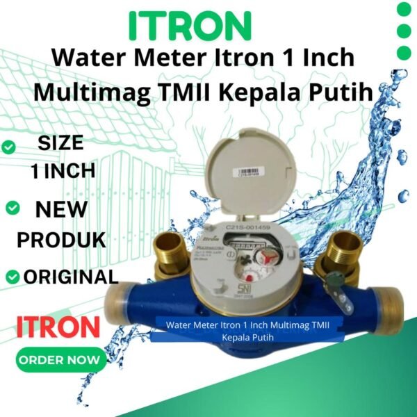 Water Meter Itron 1 inch