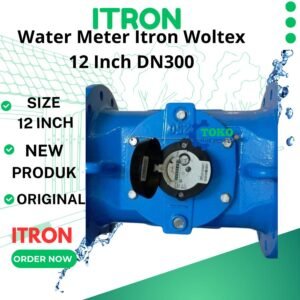 Water Meter Itron 12 inch