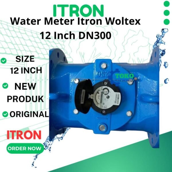 Water Meter Itron 12 inch
