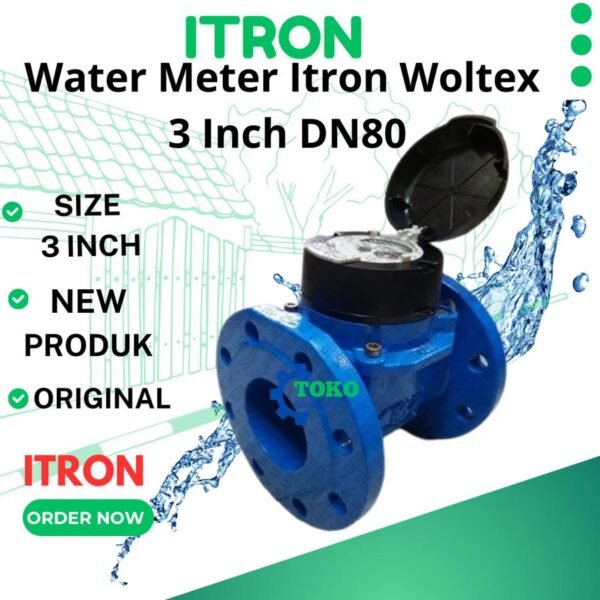 Water Meter Itron 3 inch