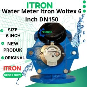 Water Meter Itron 6 inch