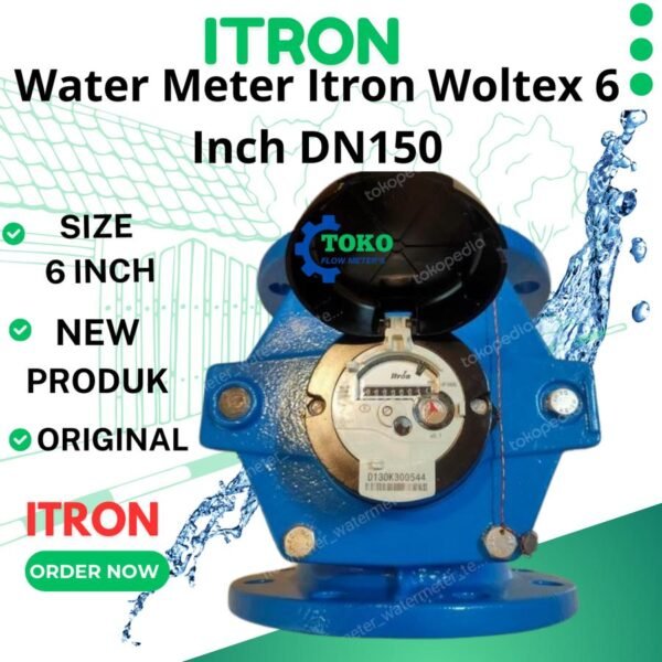 Water Meter Itron 6 inch