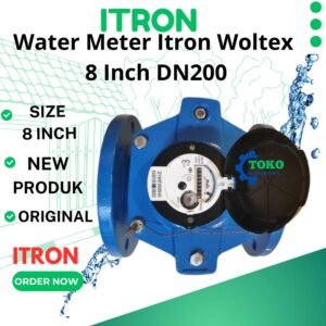 Water Meter Itron 8 inch