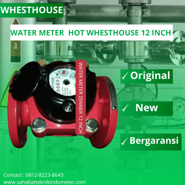 WATER METER HOT WHESTHOUSE 12 INCH