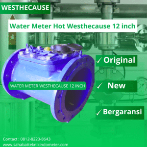 Water Meter Westechaus12 Inch
