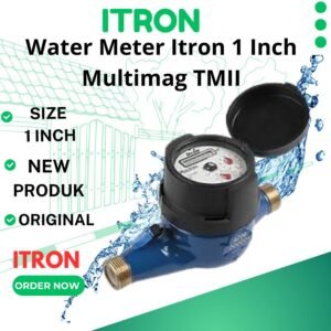 Water Meter Itron Multimag TMII 1 inch