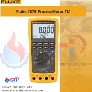 Fluke 787B ProcessMeter TM