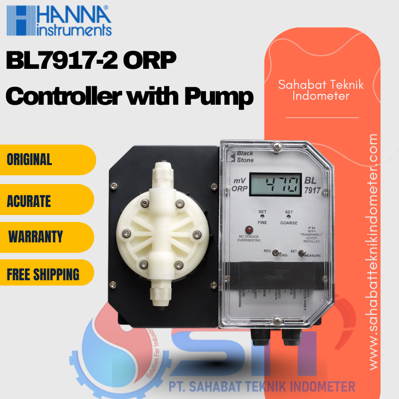 BL7917-2 ORP Controller with Pump