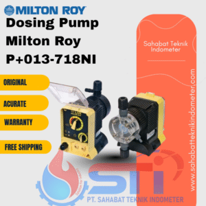 Dosing Pump Milton Roy P+013-718NI