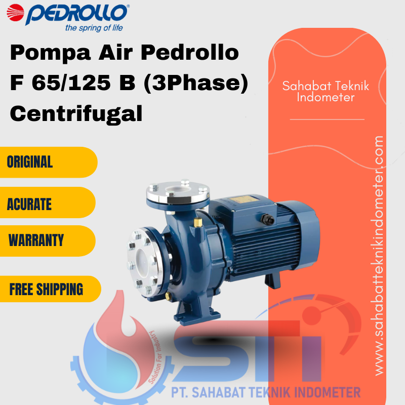 Pompa Air Pedrollo F 65/125 B (3Phase) Centrifugal