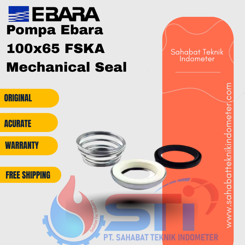 Pompa Ebara 100x65 FSKA Mechanical Seal