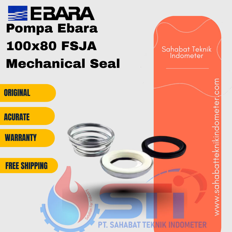 Pompa Ebara 100x80 FSJA Mechanical Seal